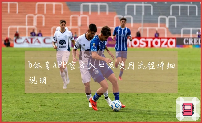 b体育APP官方入口及使用流程详细说明