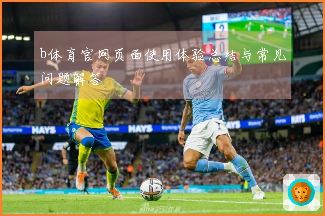 b体育官网页面使用体验总结与常见问题解答