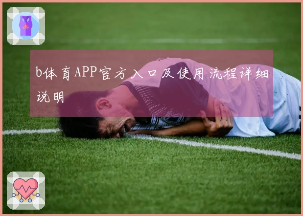 b体育APP官方入口及使用流程详细说明