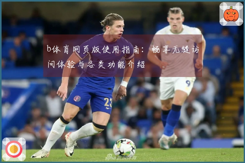 b体育网页版使用指南：畅享无缝访问体验与各类功能介绍