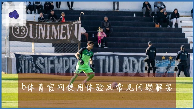 b体育官网使用体验及常见问题解答